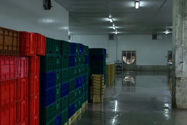 Preservation area inside a cold storage Laredo TX where products are kept in optimal temperature and cleanliness conditions.